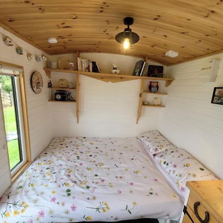 The Shepherds Hut At Forestview Farm Greenisland Экстерьер фото